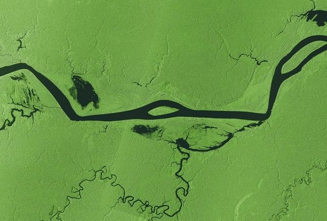 L'Amazzonia dallo spazio per la Giornata degli Alberi