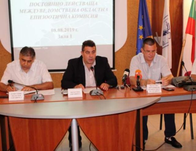 Броят на евтаназираните прасета в Русенско вече е 79 300