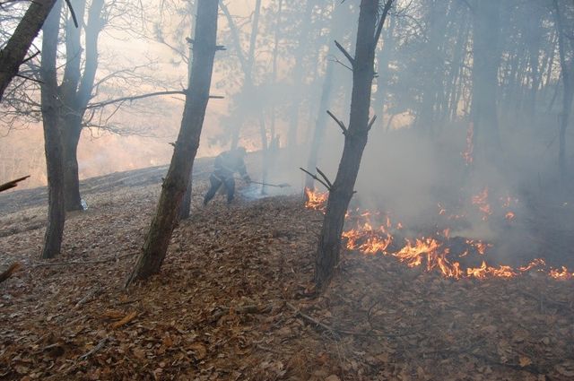 Incendiu de pădure și vegetație uscată la Nehoiu, luni seara