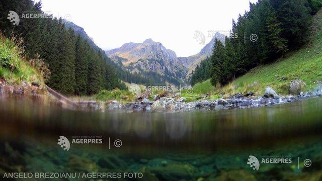 Un bucureștean de 34 de ani a fost găsit mort în Munții Făgăraș