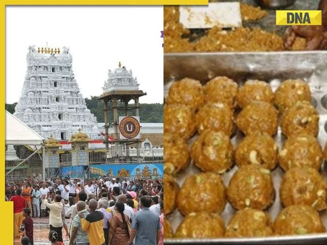 Food safety authority issues show-cause notice to firm on contamination in Tirupati laddus
