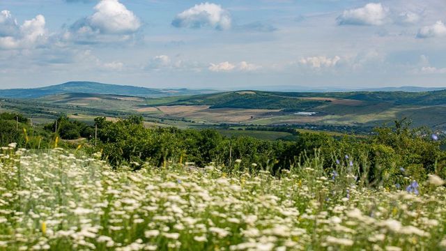 Cod Galben de vreme instabilă în Moldova