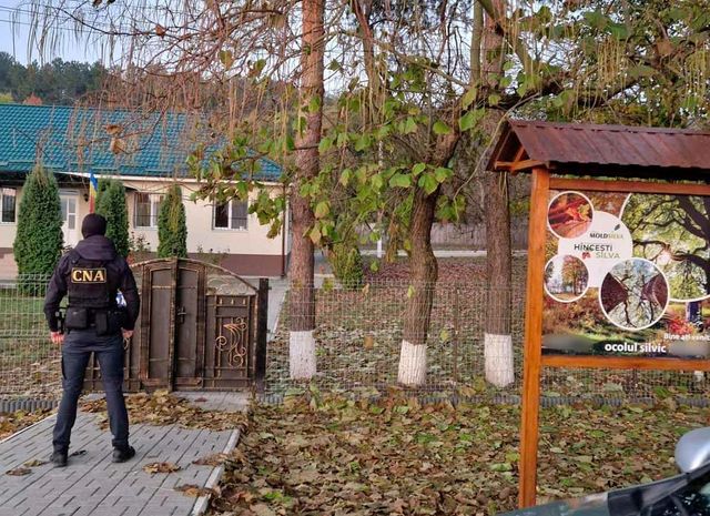 Șapte funcționari de la un ocol silvic, bănuiți de delapidare și fals în acte publice