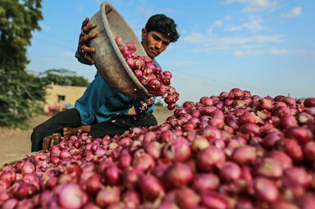 Onion Prices Surge to Rs 70-80 Per Kg, Centre Mulls Imposing Stock Limits