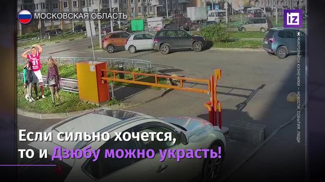 Фанатки украли алюминиевого Дзюбу в Подмосковье