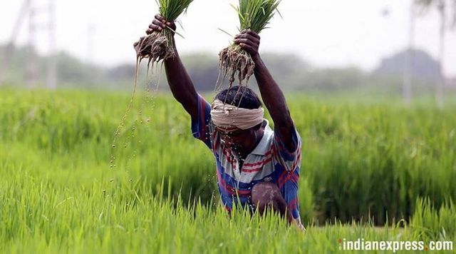 Centre clears early procurement of paddy in all states