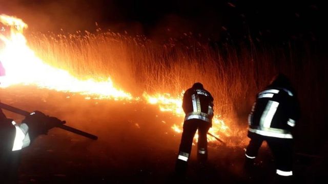 Alte 66 de cazuri de ardere a vegetației au fost lichidate de pompieri