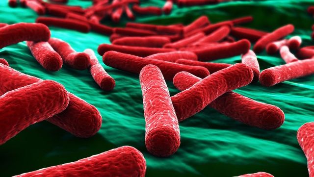 Apa de la Spitalul Județean de Urgență din Vaslui, infestată cu E.coli