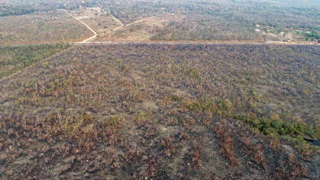Brazil elnök a hadsereg bevetését fontolgatja az erdőtüzek miatt