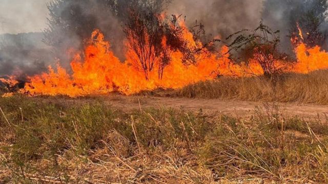 Cod galben de pericol de incendiu. Recomandările autorităților