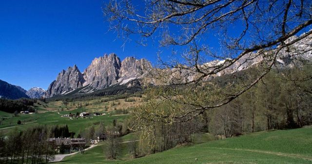 Bimbo trovato morto scarpata Alto Adige