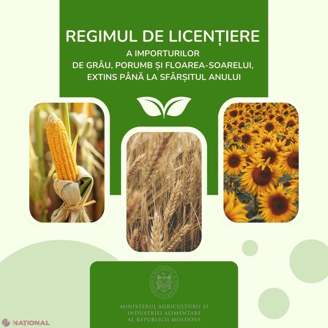 Regimul de licențiere a importurilor de grîu, porumb și floarea-soarelui, extins