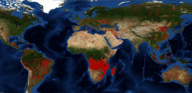 Urmatoarea pandemie va veni din Amazon, un rezervor imens de viruși