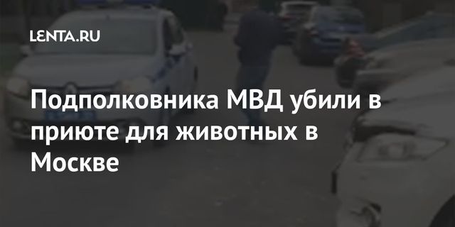 Управляющего приютом для животных убили в Москве