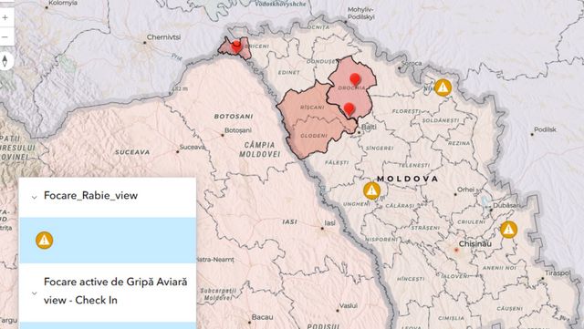 Un focar de pestă porcină și unul de rabie, depistate în Moldova în ultima săptămână