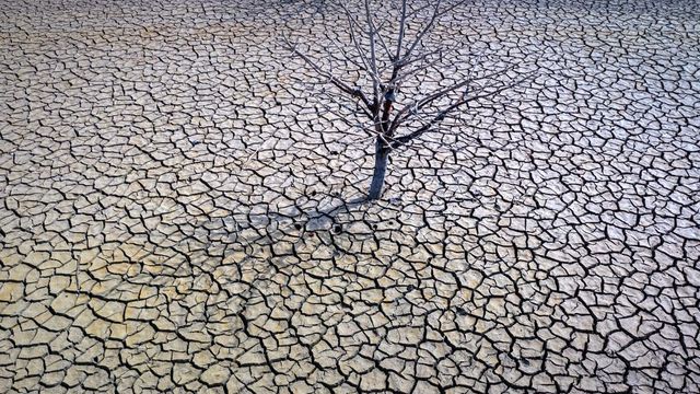 WMO: 2023 hottest year globally, set climate indicator records