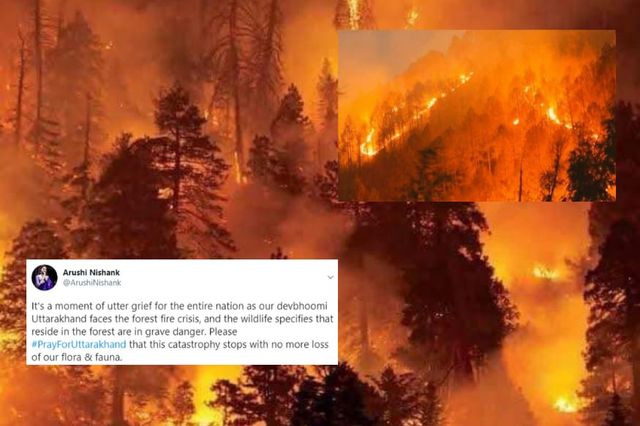 Devastating Visuals Show Uttarakhand Burning in Forest Fire, #PrayForUttarakhand Trends on Twitter