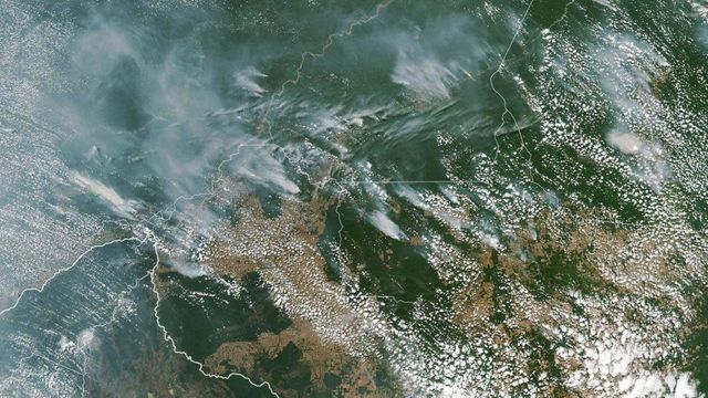 L'Amazzonia brucia, record di incendi