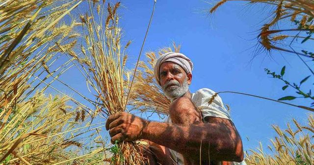 MaharashtraFarmers whose loan dues exceed Rs 2 lakh not eligible for waiver