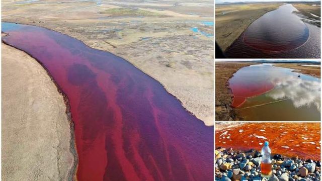 Catastrofă Ecologică | Rusia a declarat stare de urgență în Norilsk după ce 20 de tone de petrol s-au scurs în răul Ambarnaya