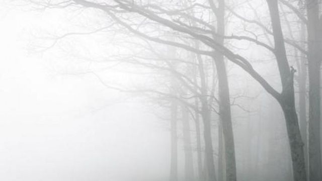 Meteorologii anunță Cod Galben de ceață