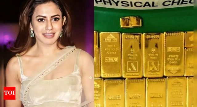 Kannada Actress Ranya Rao Gets Default Bail In Gold Smuggling Case With Slew Of Conditions