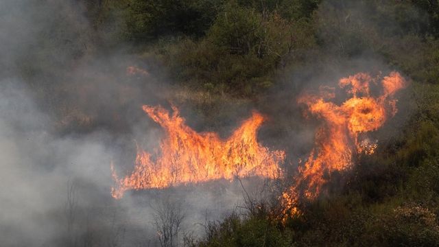 Vox lleva a los juzgados la gestión de incendios del Gobierno y de la Junta de Castilla y León