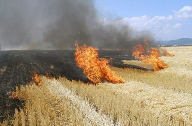 A fost emis Cod Galben de pericol de incendiu în Moldova