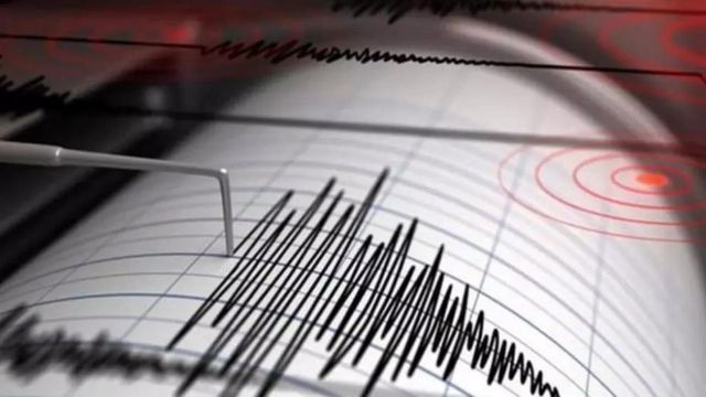 Un cutremur cu magnitudinea 4,2 a avut loc în zona seismică Vrancea