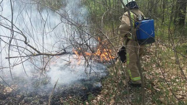 Peste 30 de focare de vegetație, stinse de pompieri în mai multe raioane ale țării
