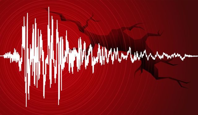 Cutremur cu magnitudinea 2,7 în județul Buzău