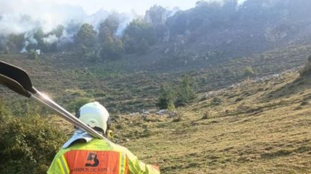Los Reyes llegan a Sanabria para conocer la última hora y la situación de los incendios forestales