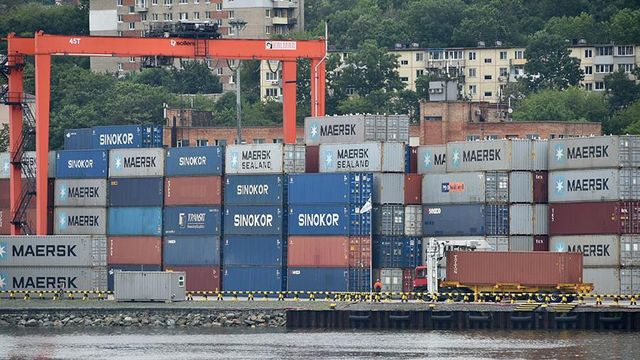 Россия ужесточила правила экспорта древесины