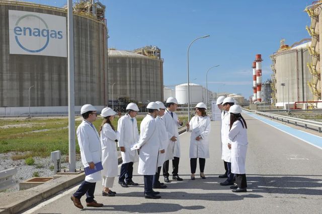 Enagás gana 176 millones en el primer semestre impulsado por plusvalías