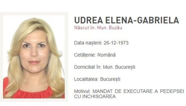 Dosarul în care Elena Udrea contestă condamnarea din Gala Bute, suspendat. Instanța supremă sesizează Curtea de Justiție a Uniunii Europene