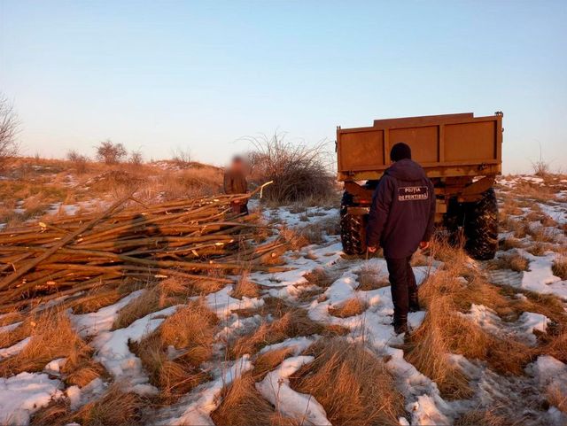 Moldovean prins la tăiat ilegal lemne în zona de frontieră