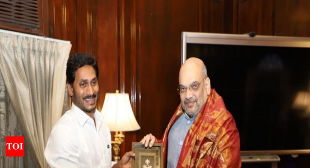 Andhra Pradesh CM Y S Jaganmohan Reddy requests Amit Shah to 'soften PM's heart' on special category status