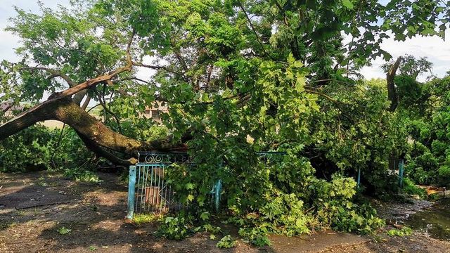 Ploile au distrus zeci de hectare de livezi și culturi agricole, iar 30 de localități din țară au rămas fără curent electric