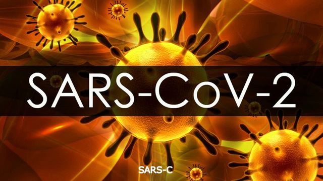 Новый штамм коронавируса уже зафиксирован в Украине
