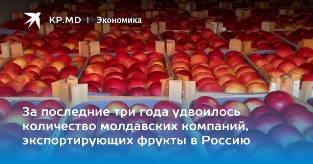 За последние три года число молдавских экспортеров фруктов в Россию удвоилось