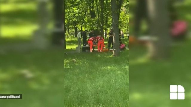 Primăria Chișinău va deschide o anchetă internă, după ce o creangă uriașă a căzut peste un copil în parcul Alunelul