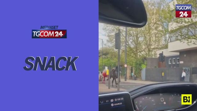 Due cavalli in fuga nel centro di Londra, 4 feriti