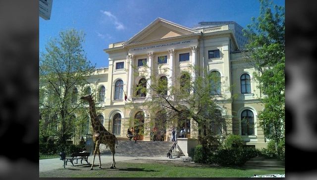 Academia Română, reacție la propunerea ridicării Muzeului Holocaustului în curtea Muzeului Antipa