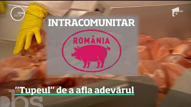 Carne posibil provenită din Ungaria, dintr-o zonă de risc cu pestă porcină, gasită într-un depozit din Timiș