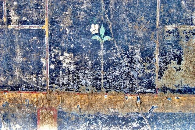 Scavi di Pompei, il mistero della bimba di nome Mummia e del fiore bianco a lei dedicato