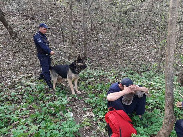 Un bărbat suspectat de furt, găsit de câinele Poliției de Frontieră în timp ce se ascundea în pădure