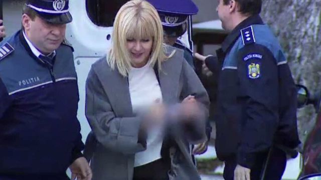 Elena Udrea cere reducerea pedepsei cu încă 17 zile