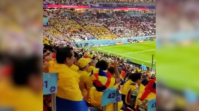 “Vogliamo birra”, il coro dei tifosi in Qatar-Ecuador