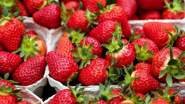Au apărut primele căpșuni românești în piețe. Cu cât se vinde un kilogram