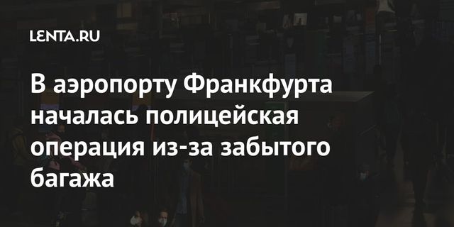 Подозрительный багаж вызвал переполох в аэропорту Франкфурта